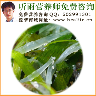 银鱼的营养价值和银鱼的功效与作用