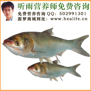 鳙鱼的营养价值和鳙鱼的功效与作用