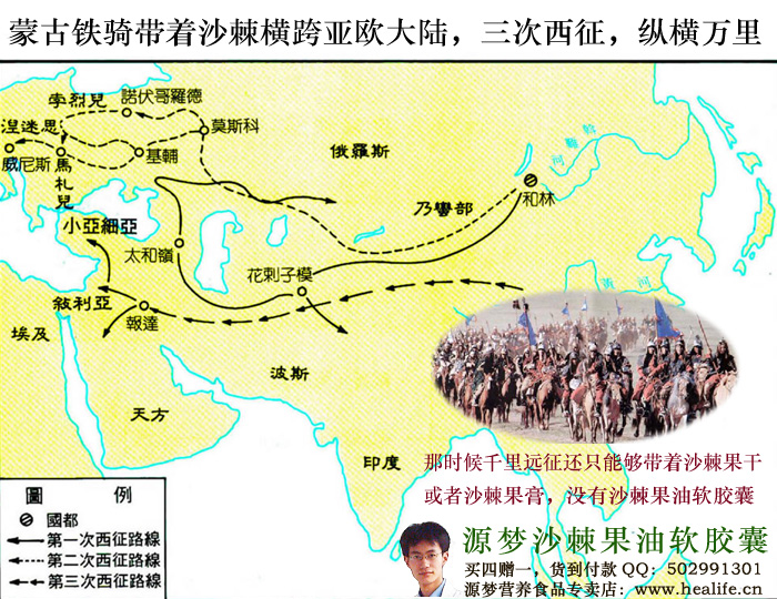 蒙古铁骑带着沙棘万里远征,那时候还只有沙棘果膏或者沙棘果干,没有沙棘果油软胶囊