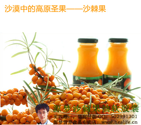 沙漠中的高原圣果——沙棘果