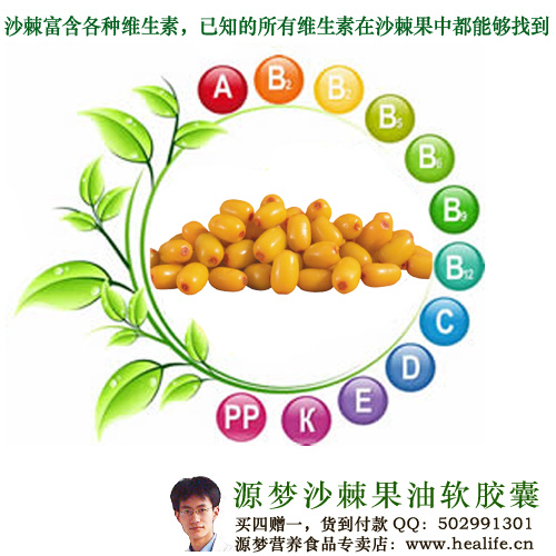 沙棘富含各种维生素,已知的所有维生素在沙棘果中都能够找到