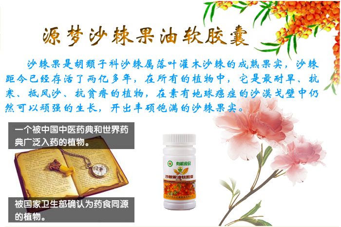 沙棘果油是什么