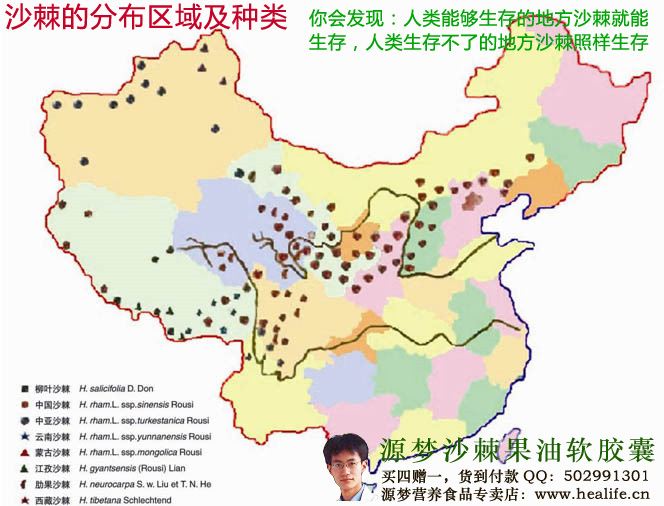 沙棘的分布区域及种类