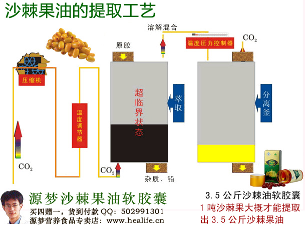沙棘果油的提取工艺