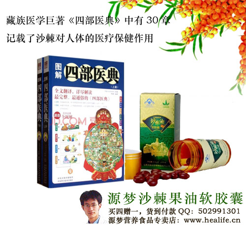 藏族医学巨著《四部医典》中有30章记载了沙棘对人体的医疗保健作用
