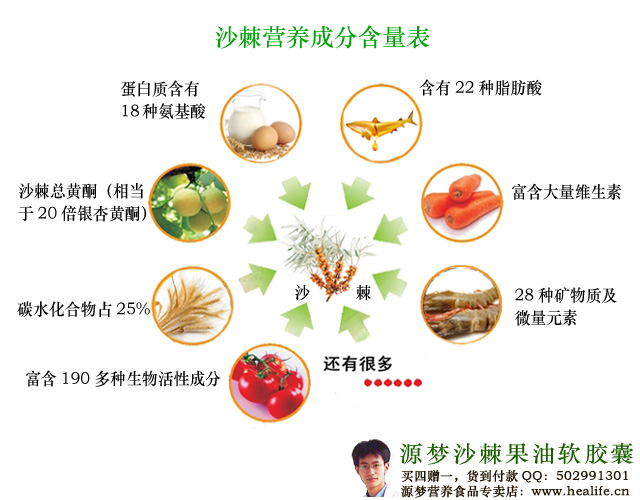 沙棘营养成分含量表