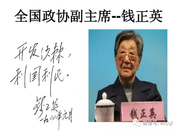 开发沙棘,利国利民